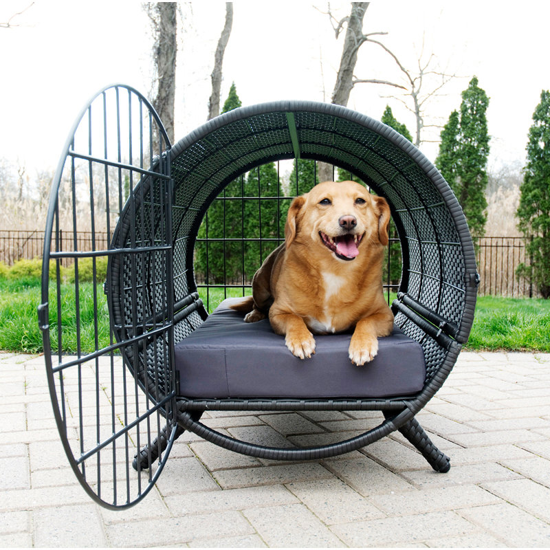 Newfoundland Pet Crate & Reviews Joss & Main